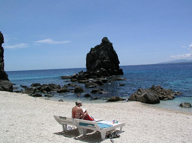 2.Apo Island 59.JPG